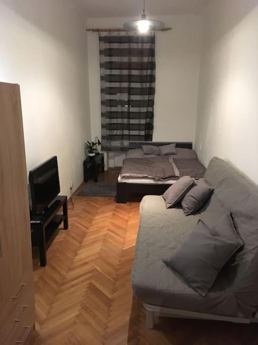 Utulne Ubytovani U Centra V Blizkosti Vystaviste Brno Zewnętrze zdjęcie